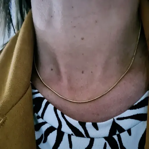Snake Necklace